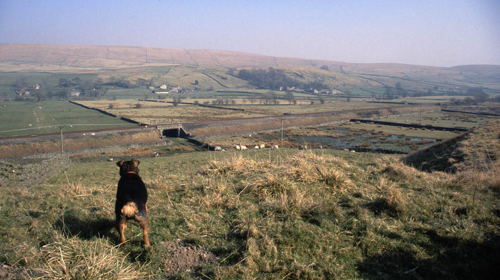 Rosie at Helwith Bridge