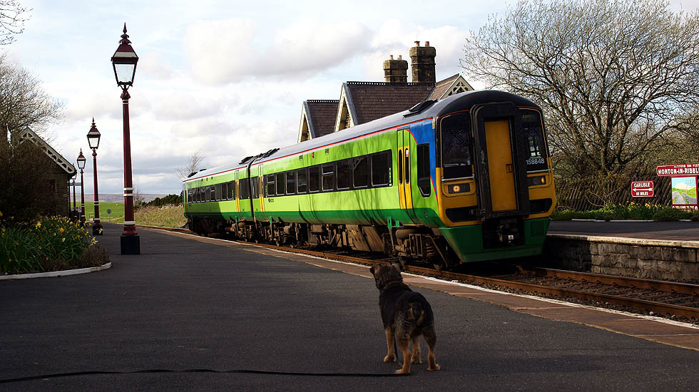 158848 and Rosie at Horton in Ribblesdale