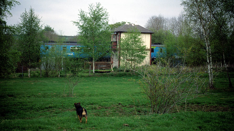 156470 at Howe and Co Sidings