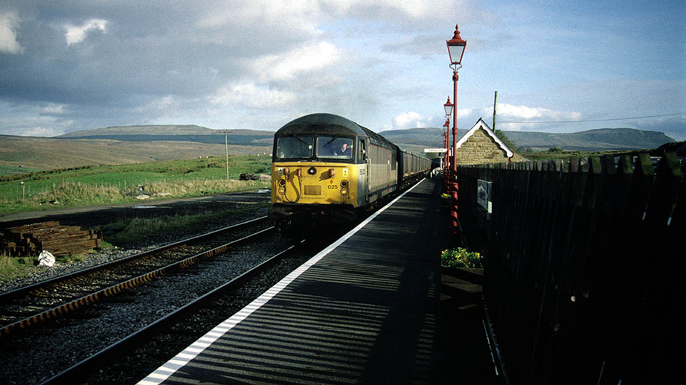 56025 at Ribblehead