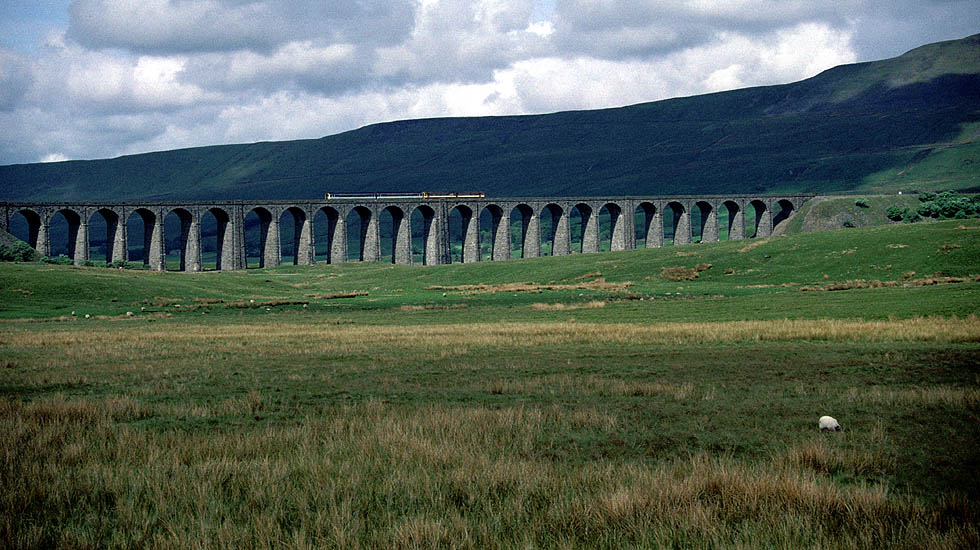 Classes 144+156 at Ribblehead
