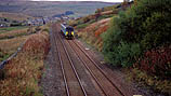 156491 at Garsdale