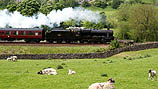 48151 [Gauge O Guild] at Settle
